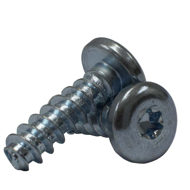 Two Seed Box Panhead Screws
