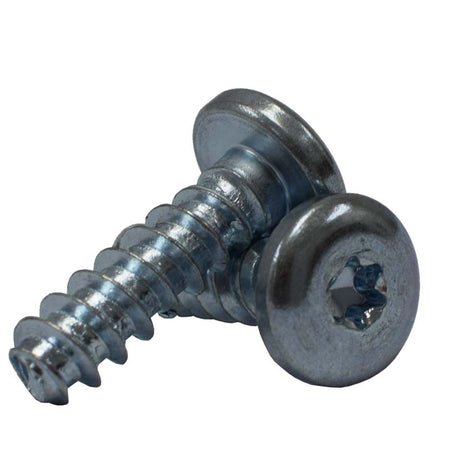 Two Seed Box Panhead Screws