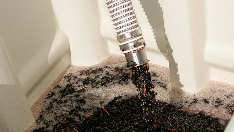 Solid bulk bin with wine grapes